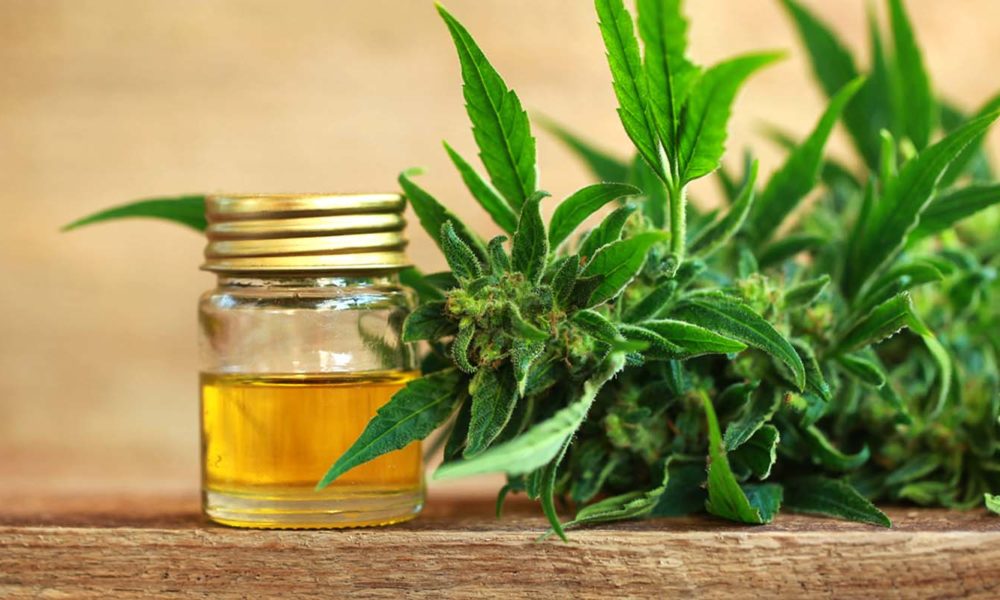 7 Proven Health Benefits Of Cannabidiol What Is Cbd And How Does It Work