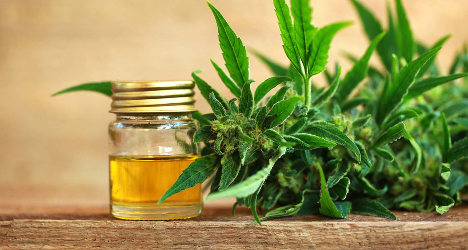 Health Benefits of Cannabidiol CBD