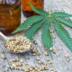 What Is Cannabidiol, and Where Does It Come From?