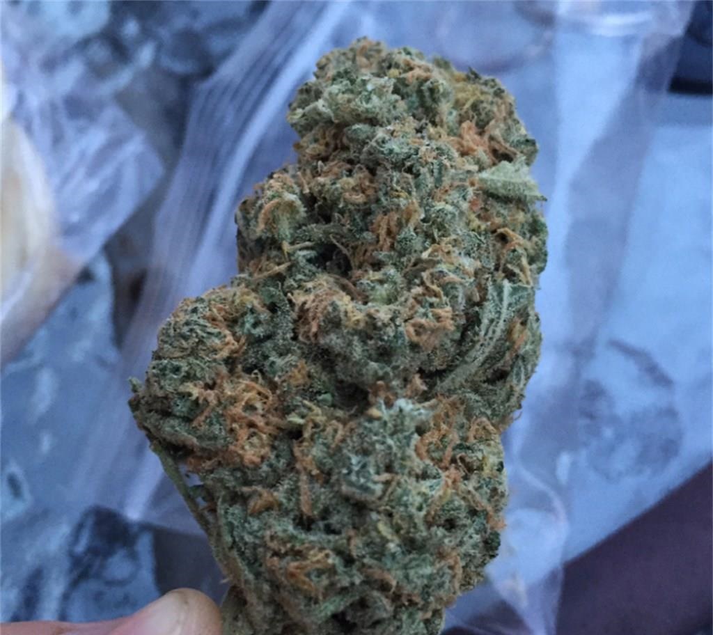 Blue Dream cannabis strain