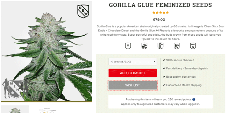 gorilla glue 4 seeds for sale