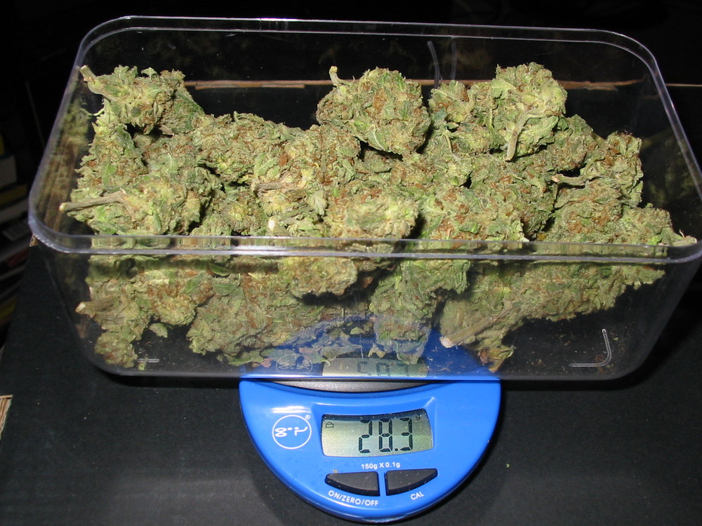 28 grams of weed - a full ounce.