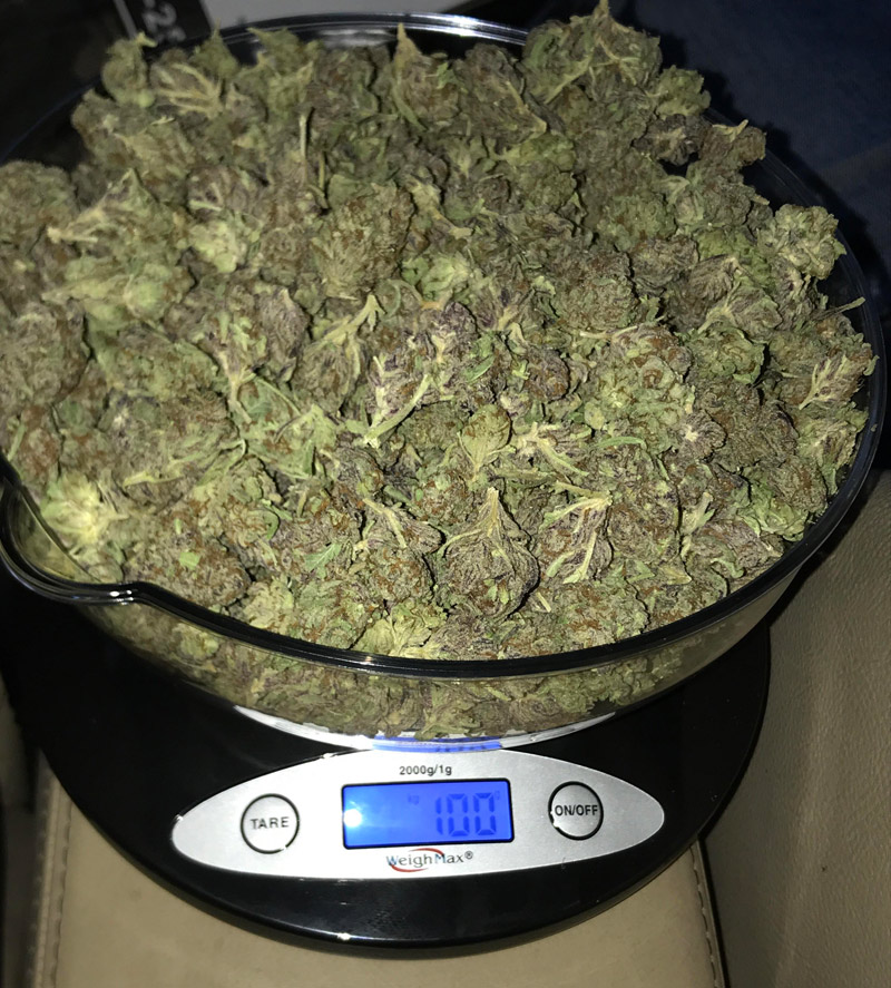 Quarter-Pound-of-Weed