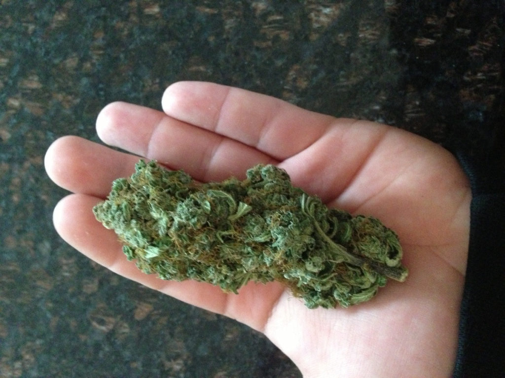 Quarter of weed 7 grams of weed