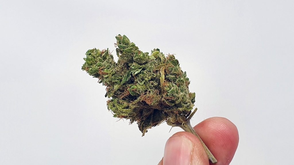 UGORG #1 Cannabis Strain review