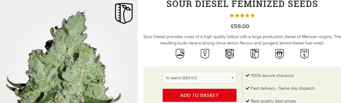 buy-Sour-Diesel-seeds-online