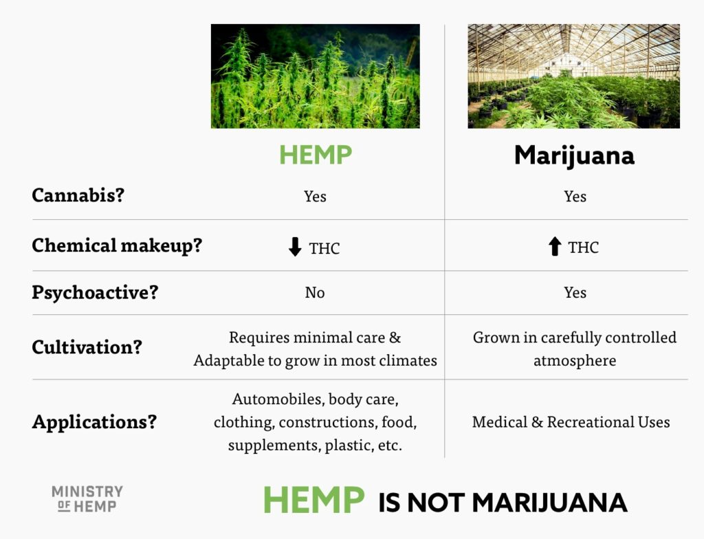 cannabis vs hemp chart
