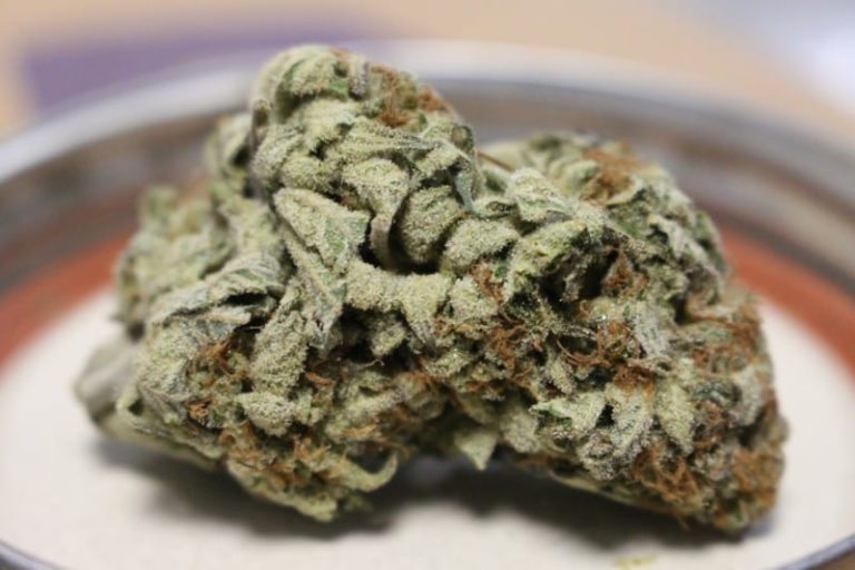 Runtz Weed Strain Review