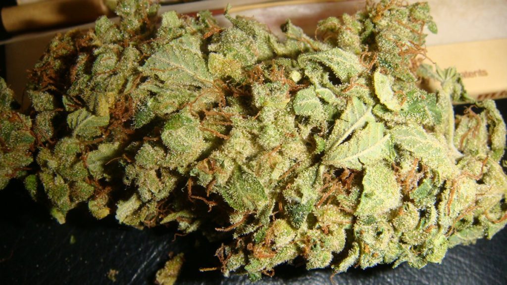 SSSDH Weed strain review