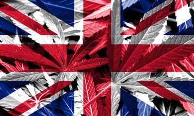 What Effect Will Brexit Have on the UK Cannabis Industry