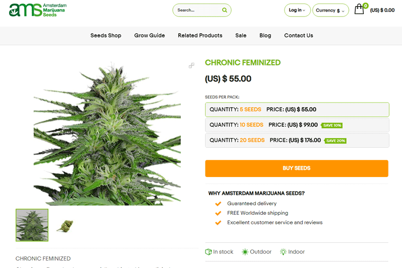 Amsterdam-Marijuana-Seeds-buy-chronic-weed-seeds-online