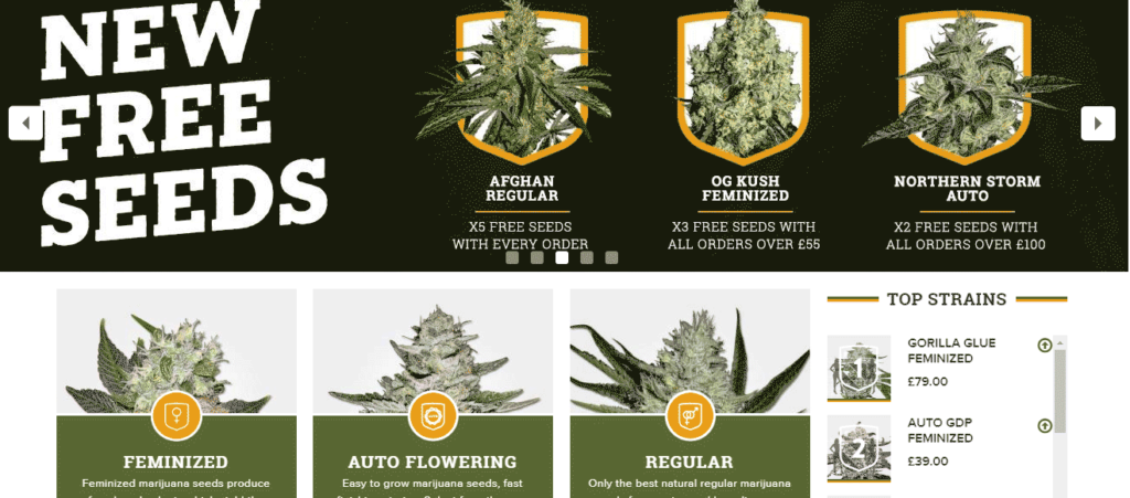 browse msnl to get free marijuana seeds