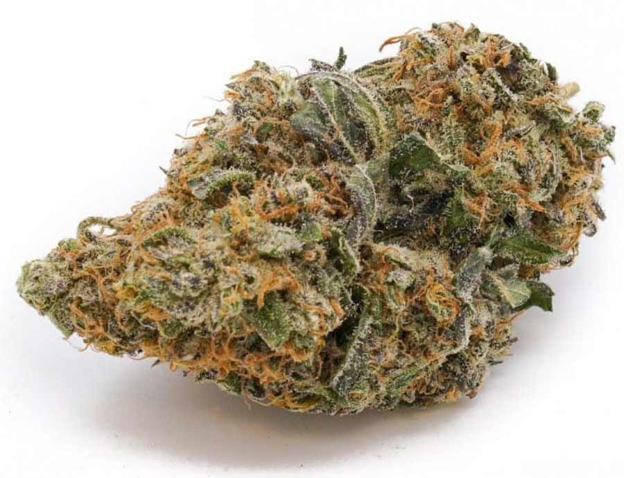 Durban-Poison-bud