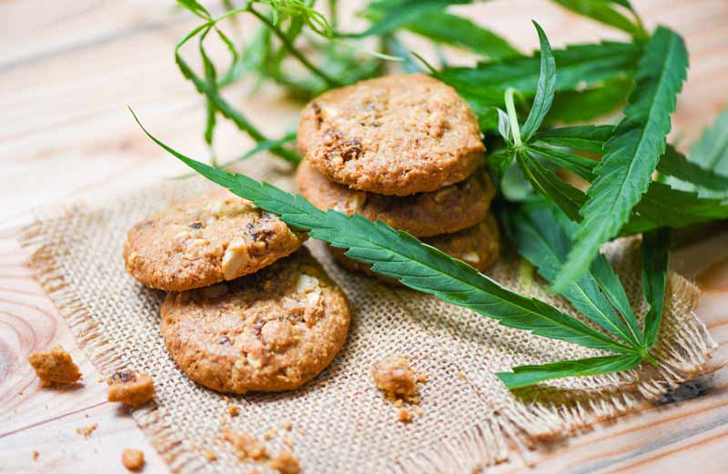 How-Long-Does-it-Take-for-Cannabis-Edibles-to-Kick-in