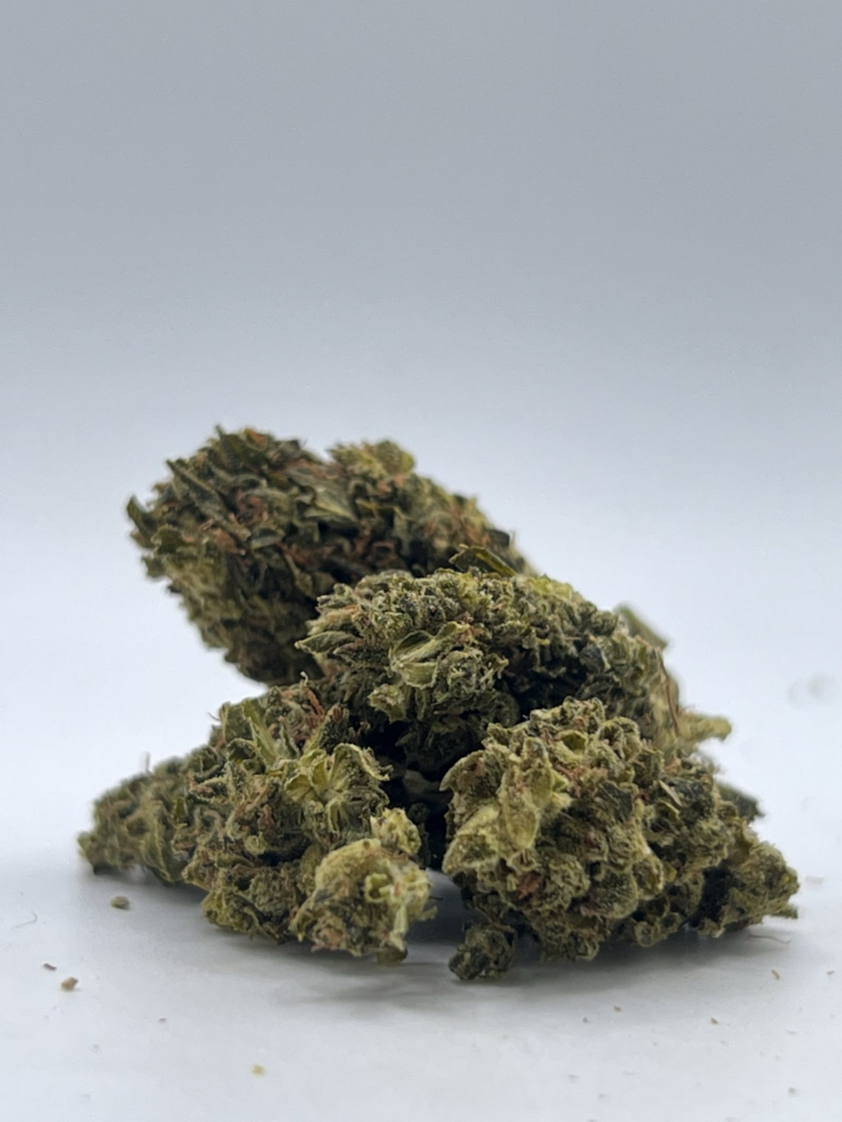 Panama Red strain buds and trichomes