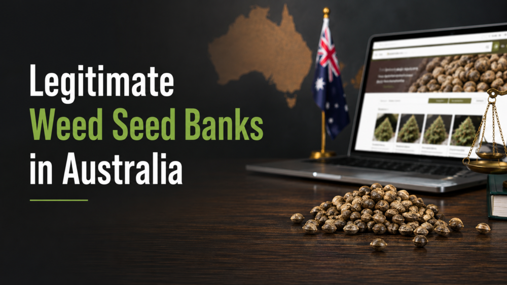 Legitimate Weed Seed Banks in Australia